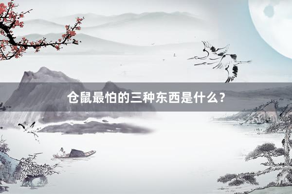 仓鼠最怕的三种东西是什么?