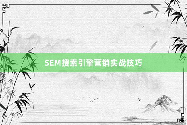 SEM搜索引擎营销实战技巧